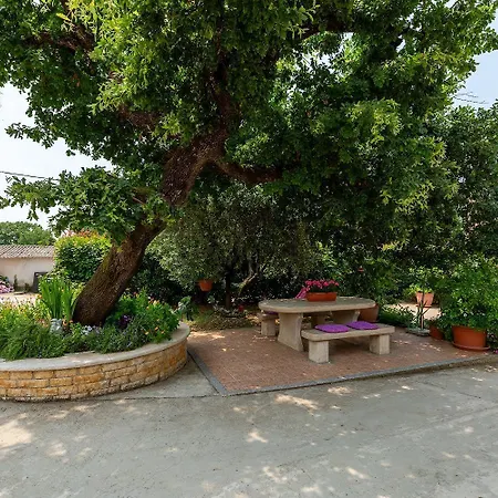 Apartment Angolo